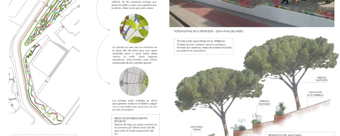 Esta semana se adjudica el proyecto de mejora paisajística de La Cuesta del Picacho